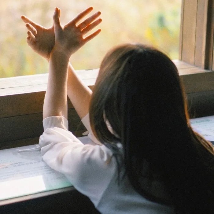 净身出户后,我带嫂子发家致富